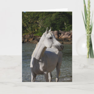 Carte Bob Langrish Arab Mare Debout Dans Un Casque D'Eau