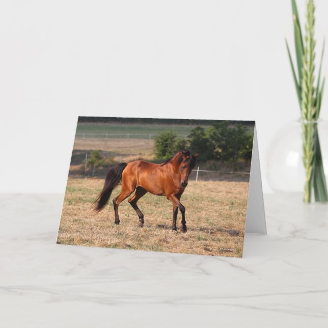 Carte Bob Langrish | Bay Arab Walking (Devant)