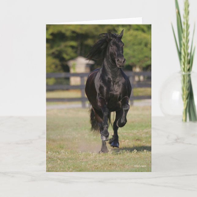 Carte Bob Langrish | Black Friesian Mare Running (Devant)