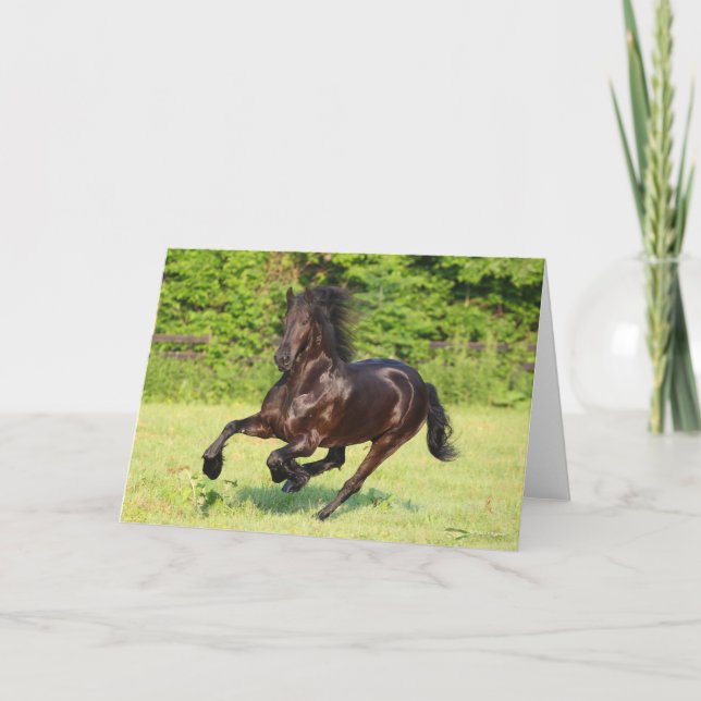 Carte Bob Langrish | Black Friesian Running (Devant)