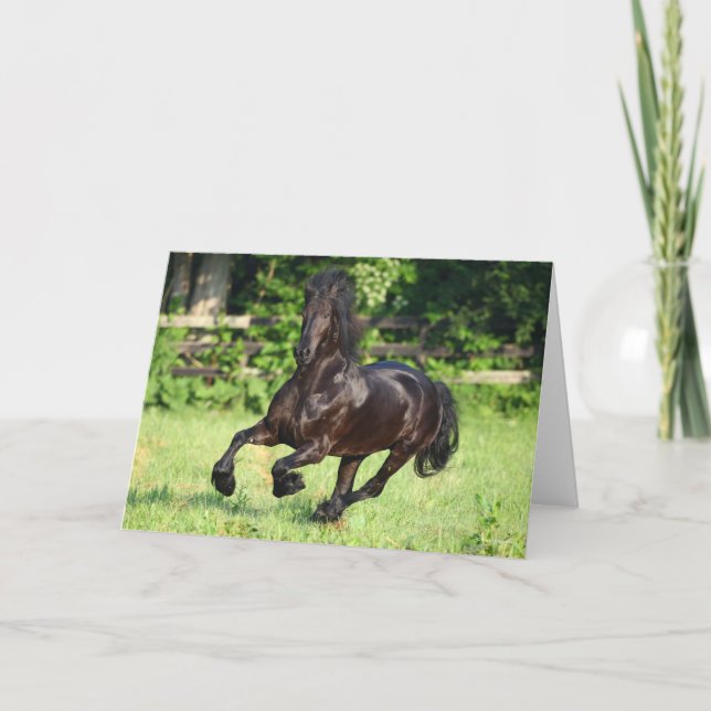 Carte Bob Langrish | Black Friesian Running (Devant)