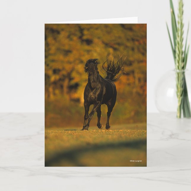 Carte Bob Langrish | Black Friesian Running En Automne (Devant)