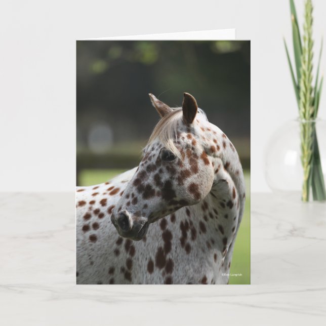 Carte Bob Langrish | Capture d'écran Appaloosa Standing (Devant)