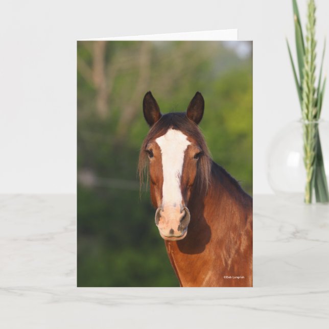 Carte Bob Langrish | Capture d'écran de Clydesdale (Devant)