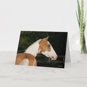 Carte Bob Langrish   Capture d'écran du cheval de peintu