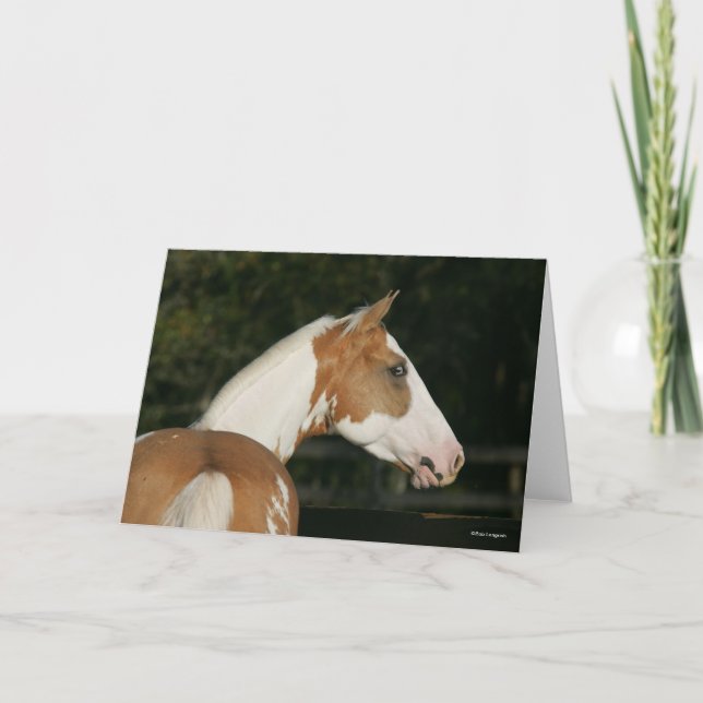 Carte Bob Langrish | Capture d'écran du cheval de peintu (Devant)