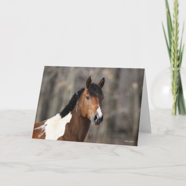 Carte Bob Langrish | Capture d'écran du Cheval de peintu (Devant)