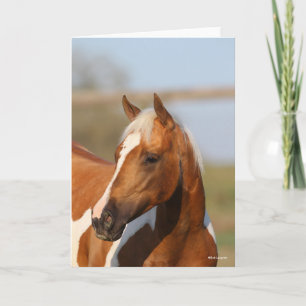 Carte Bob Langrish   Capture d'écran du Cheval de peintu
