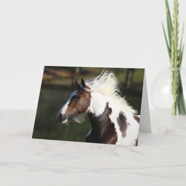 Carte Bob Langrish | Capture d'écran du Cheval du Tambou (Devant)