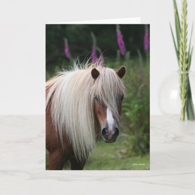 Carte Bob Langrish | Capture d'écran Shetland Pony avec  (Devant)