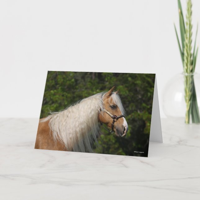 Carte Bob Langrish | Casque de Cheval Palomino Quarter (Devant)