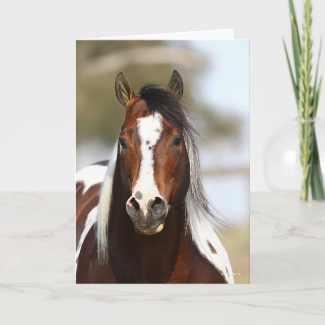 Carte Bob Langrish | Casque Stallion de peinture (Devant)