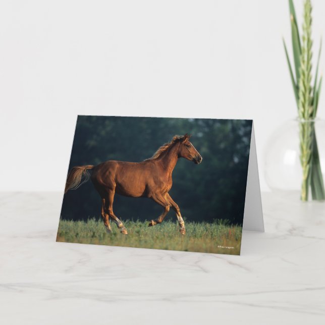 Carte Bob Langrish | Chestnut Warmblood Running (Devant)