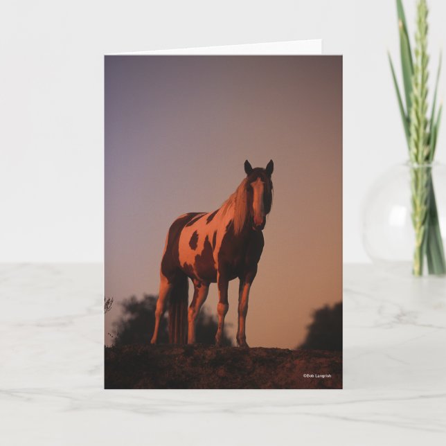 Carte Bob Langrish | Cheval de peinture debout au couche (Devant)