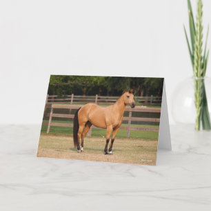 Carte Bob Langrish   Cheval de quart en peau de seau deb