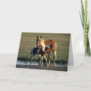 Carte Bob Langrish   Chincoteague Mare et Foie debout