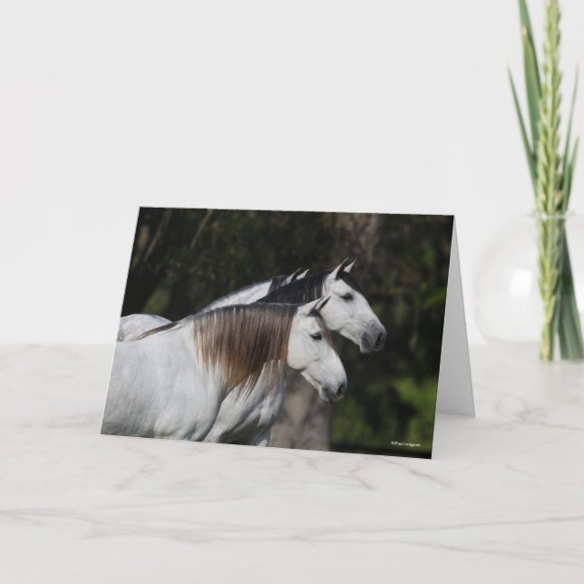 Carte Bob Langrish | Deux Andalous Ensemble (Devant)