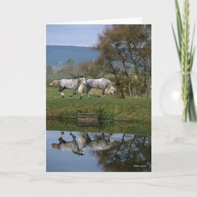 Carte Bob Langrish | Deux Bois Chauds Ensemble Par Lac (Devant)