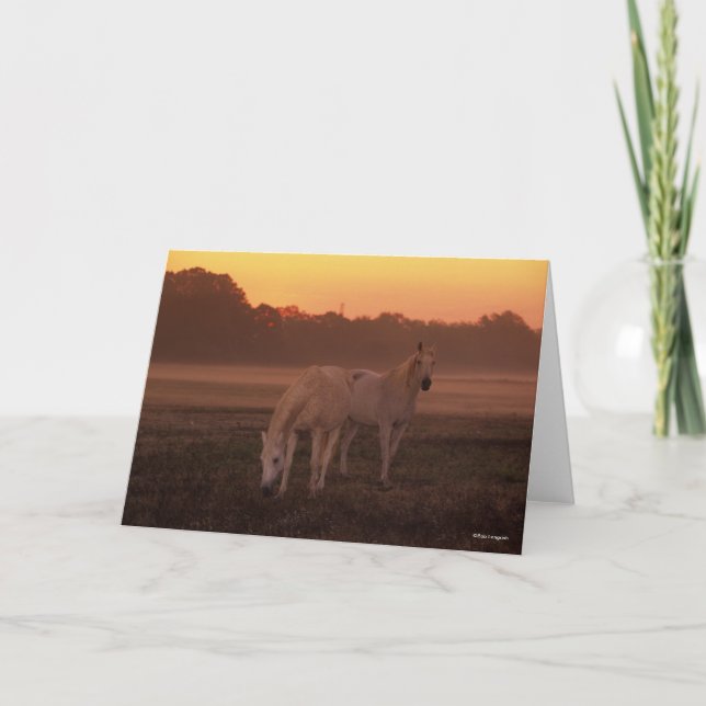 Carte Bob Langrish | Deux Chevaux arabes gris debout (Devant)