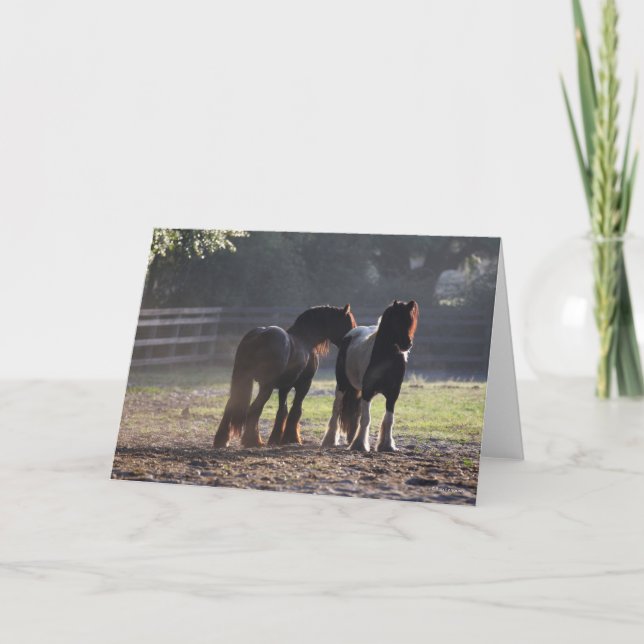 Carte Bob Langrish | Deux Vannières Tsiganes En Champ Ré (Devant)