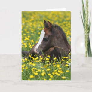 Carte Bob Langrish   Foie Gallois Pony Qui Mène Dans L'H