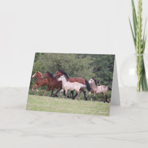 Carte Bob Langrish Gallois ponies courir des mares et de