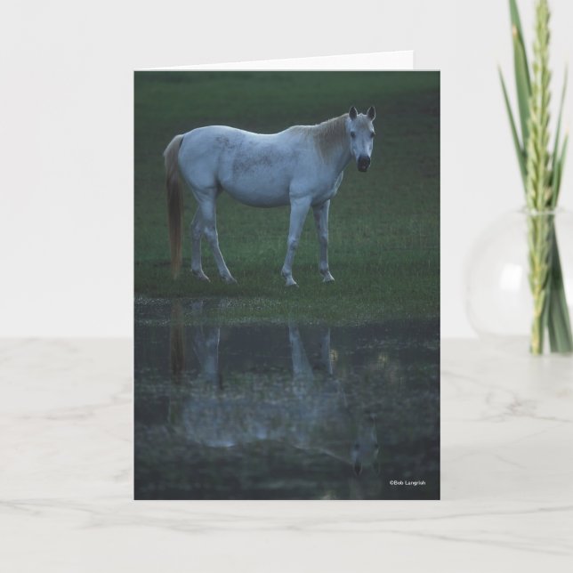 Carte Bob Langrish Grey Arab Standing By Pond Reflection (Devant)