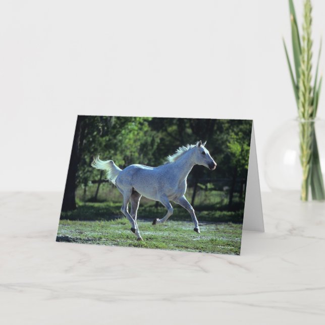 Carte Bob Langrish | Grey Thoroughbred Stallion Running (Devant)