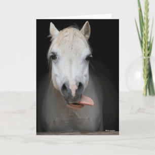 Carte Bob Langrish   Grey Welsh Pony Tongue Out Headshot