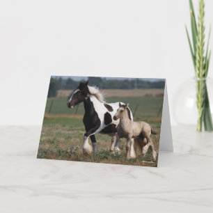 Carte Bob Langrish   Gypsy Vanner Mare et Foal Running