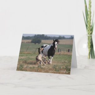 Carte Bob Langrish   Gypsy Vanner Mare et Foie