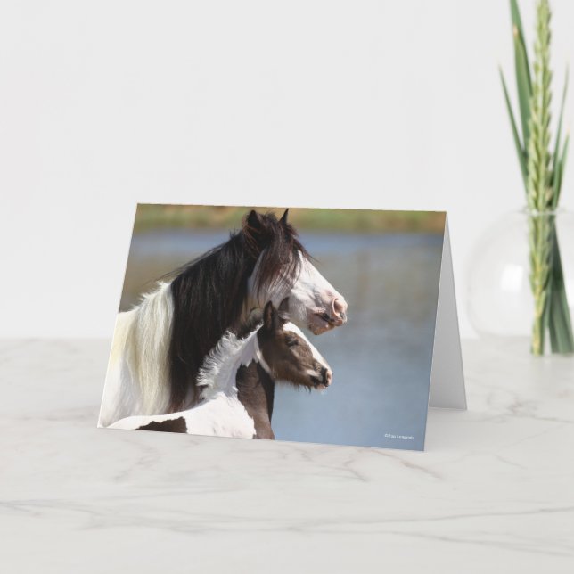 Carte Bob Langrish | Gypsy Vanner Mare et Foie Capture d (Devant)
