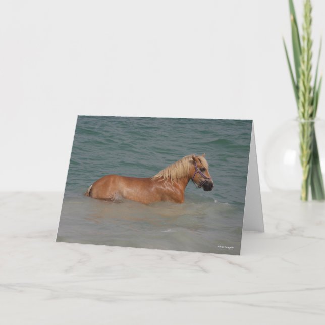 Carte Bob Langrish | Haflinger Horse Nager En Mer (Devant)