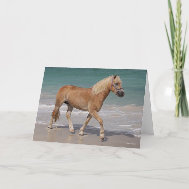 Carte Bob Langrish | Haflinger Marcher Sur La Plage (Devant)