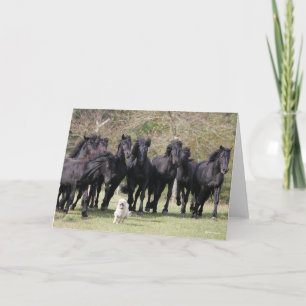 Carte Bob Langrish Herd Black Meren Cheval et Chien