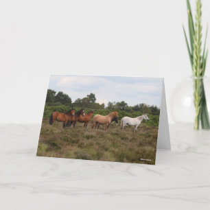 Carte Bob Langrish Herd New Forest Poney debout
