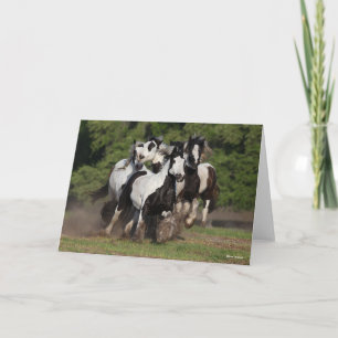Carte Bob Langrish   Herd Vannières Tsiganes en cours d'