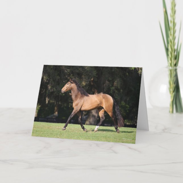 Carte Bob Langrish | Light Bay Lusitano Running (Devant)