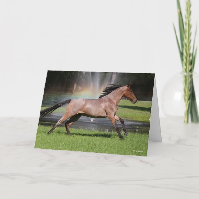Carte Bob Langrish | Mangalarga Horse Running Rainbow (Devant)