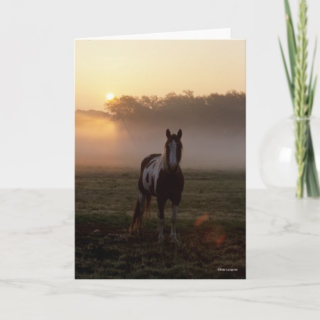 Carte Bob Langrish | Paint Horse Debout Mist Sunrise (Devant)