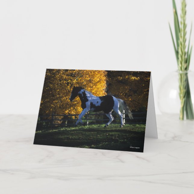 Carte Bob Langrish | Paint Horse Runn Automne (Devant)