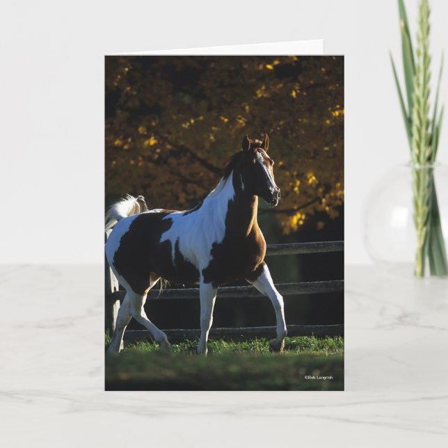 Carte Bob Langrish | Paint Horse Walking Backlight Autom (Devant)