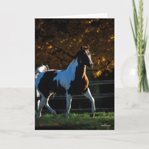 Carte Bob Langrish Paint Horse Walking Backlight Autom