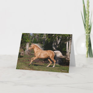 Carte Bob Langrish   Palomino Lusitano Stallion en march