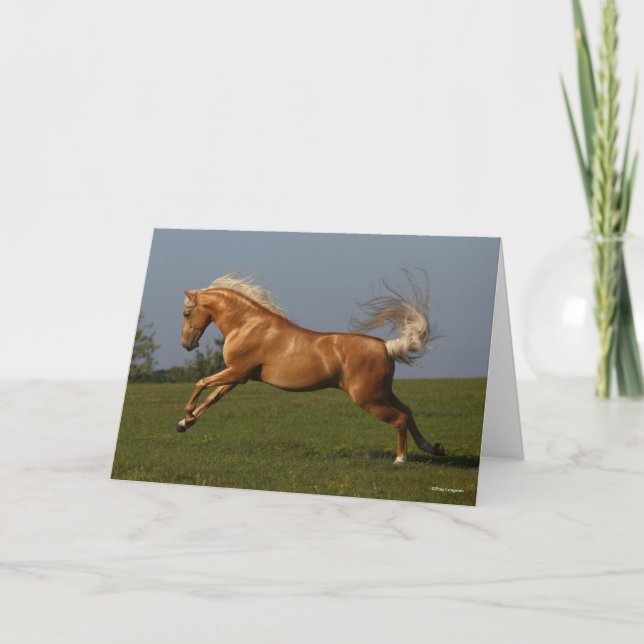Carte Bob Langrish | Palomino Lusitano Stallion Leaping (Devant)