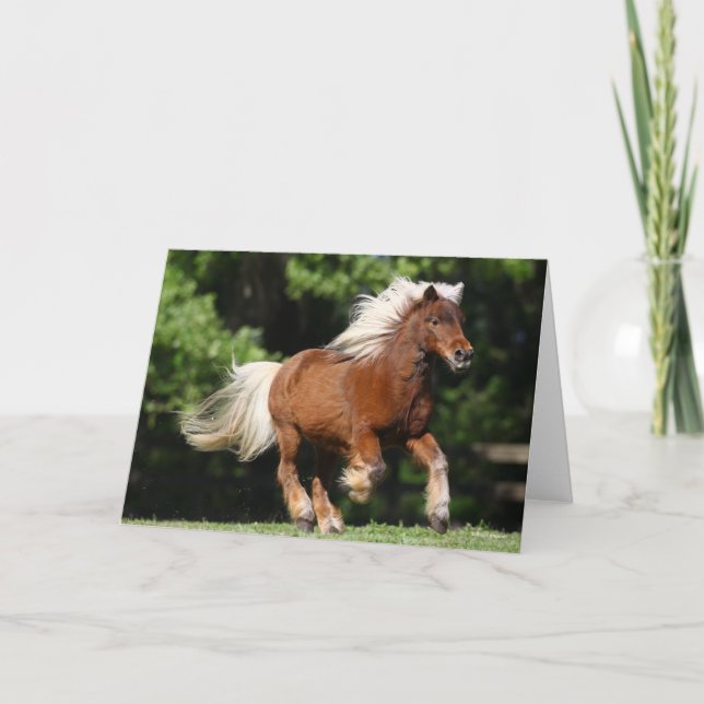 Carte Bob Langrish | Palomino Miniature Pony Running (Devant)