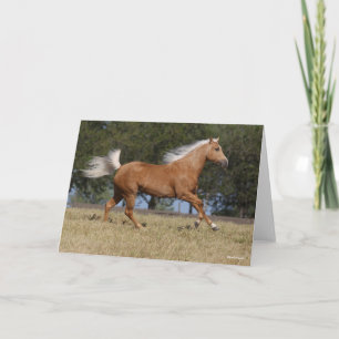 Carte Bob Langrish   Palomino Quarter Cheval Courir