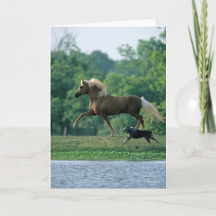 Carte Bob Langrish   Palomino Tennessee Walker and Dog