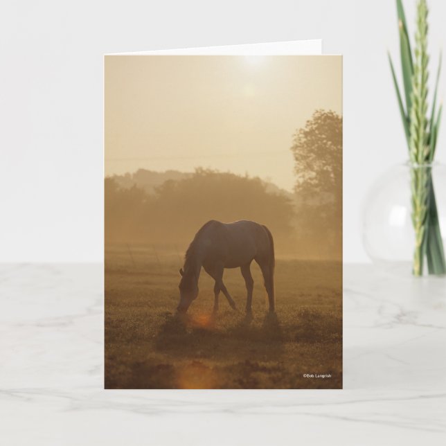 Carte Bob Langrish | Pâturage arabe au coucher du soleil (Devant)