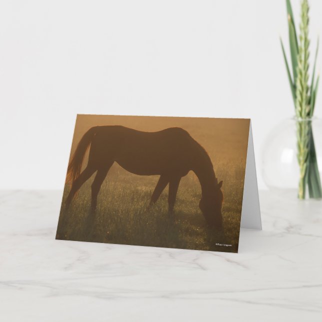 Carte Bob Langrish | Pâturage Arabe Dans La Poêle (Devant)